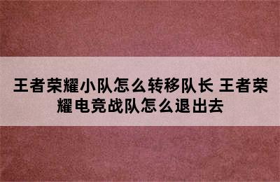 王者荣耀小队怎么转移队长 王者荣耀电竞战队怎么退出去